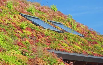 Connel Park living roof systems