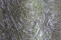 Connel Park fibreglass roof work